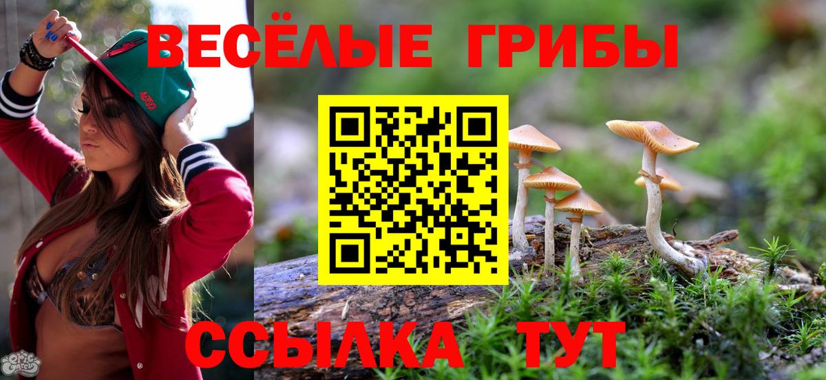 Псилоцибиновые грибы ЛСД Лесозаводск