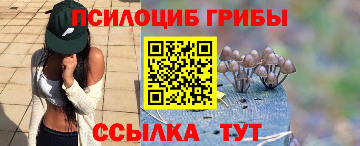 Галлюциногенные грибы GOLDEN TEACHER  Псилоцибиновые грибы Psilocybine cubensis  Вход с VPN  Лесозаводск 